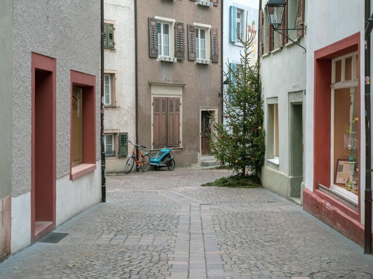 Fahrradanhänger mit Kindersitz als praktische Alternative zum klassischen Kinderwagen