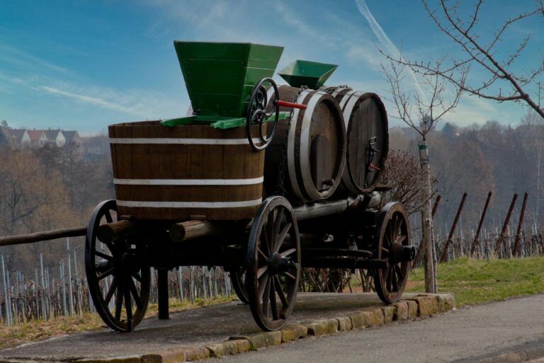 Baby im Kinderwagen warm eingepackt mit wetterfestem Fußsack für Komfort und Schutz