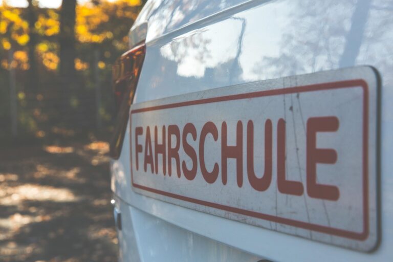 Elterntest bei der Kinderwagen Sicherheitsprüfung mit Fokus auf Bremsen und Gurtsysteme