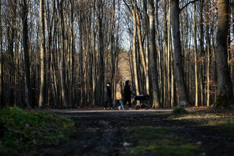 Geländetaugliche Kinderwagen im Test für Waldwege und Outdoor-Abenteuer