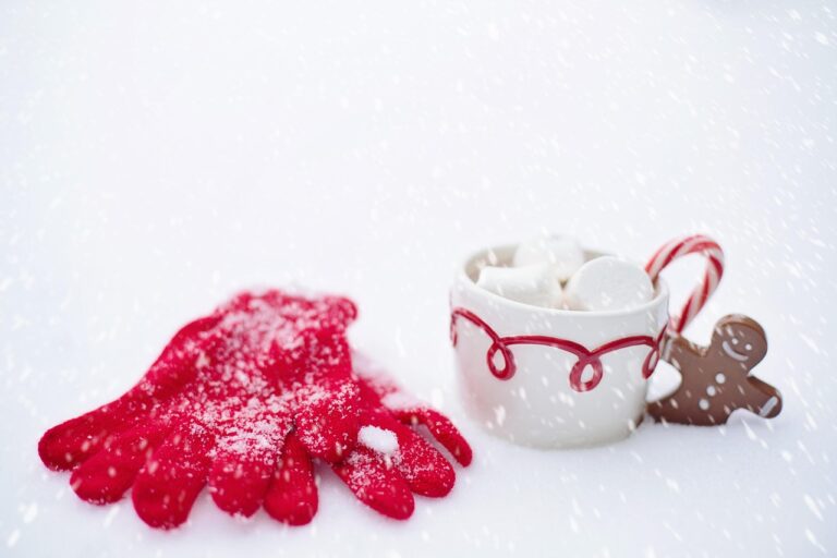 Baby warm eingepackt im Kinderwagen bei winterlichen Temperaturen unterwegs