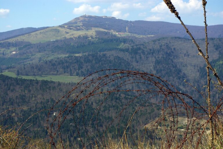 Zwillingswagen Vergleich verschiedene Modelle für sicheren und komfortablen Zwillingswagen Kauf