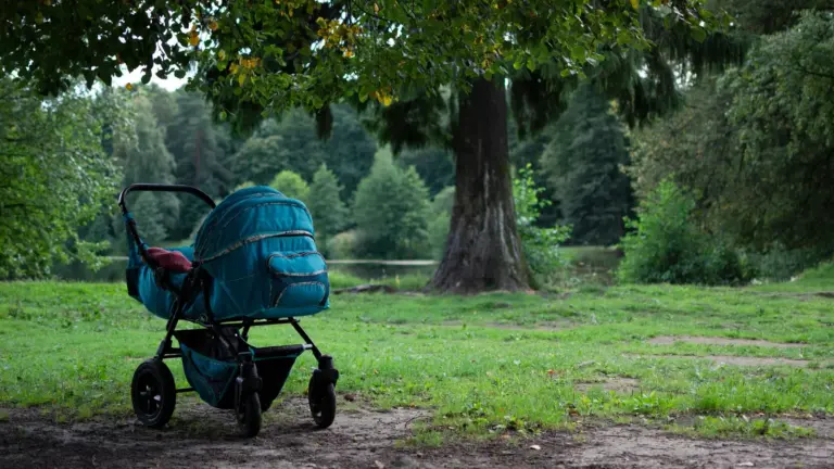 Kinderwagen steht im Park unter einem Baum